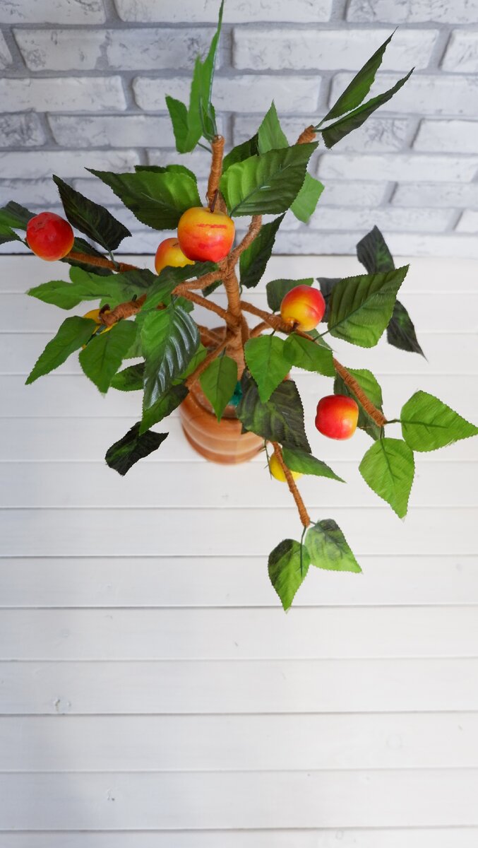 Яблочное дерево.