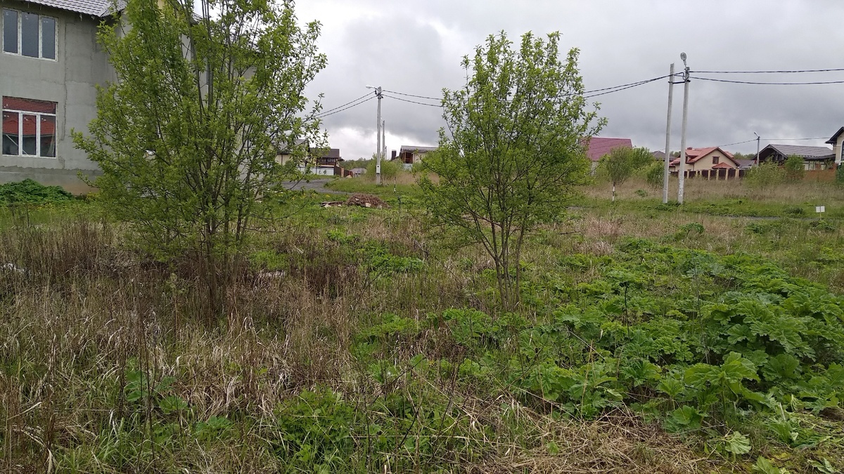 Мой участок в Подмосковье