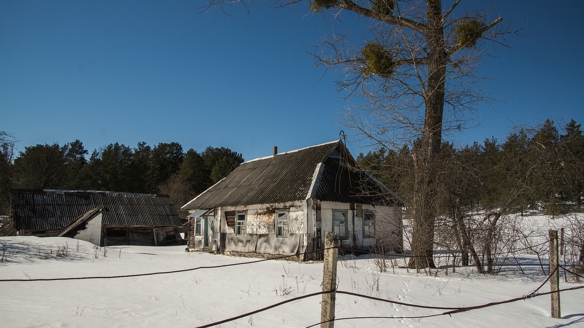 Фото взято из открытых источников