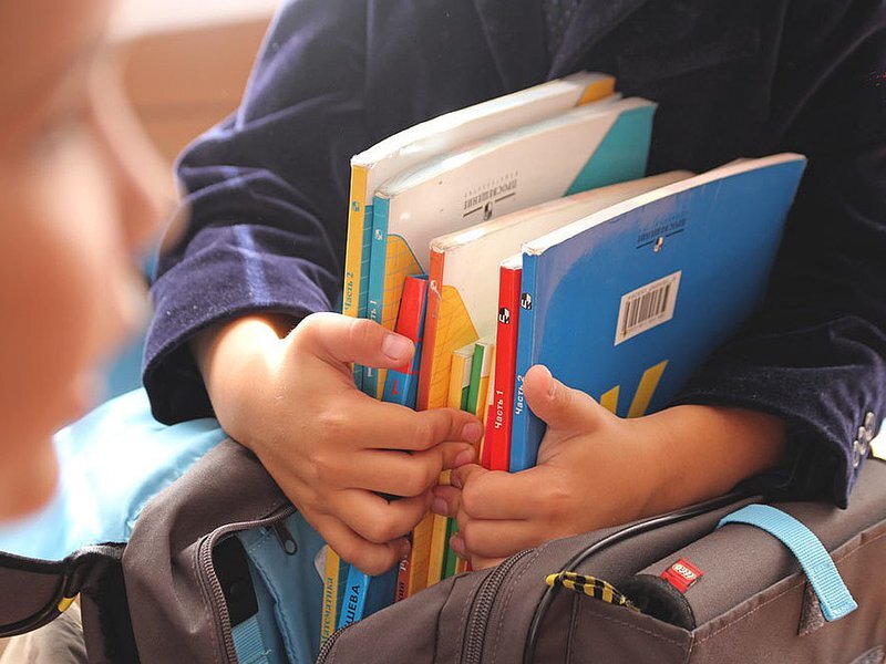 Сколько еще учебников поместится?