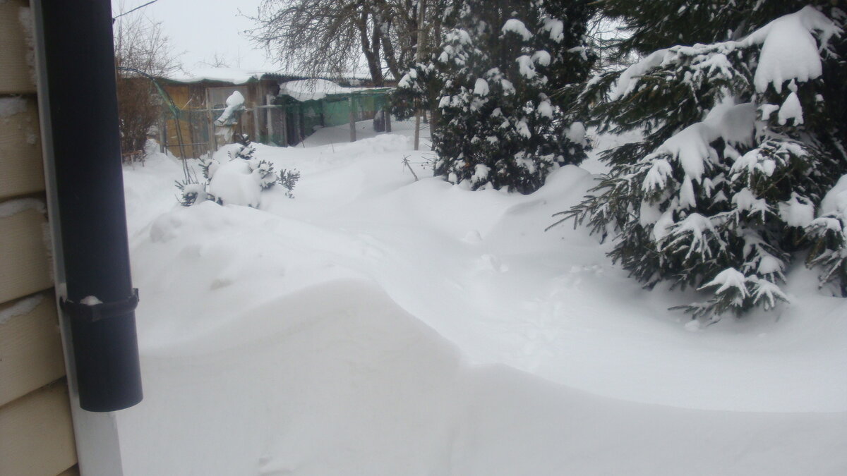Такой снег у нас впервые