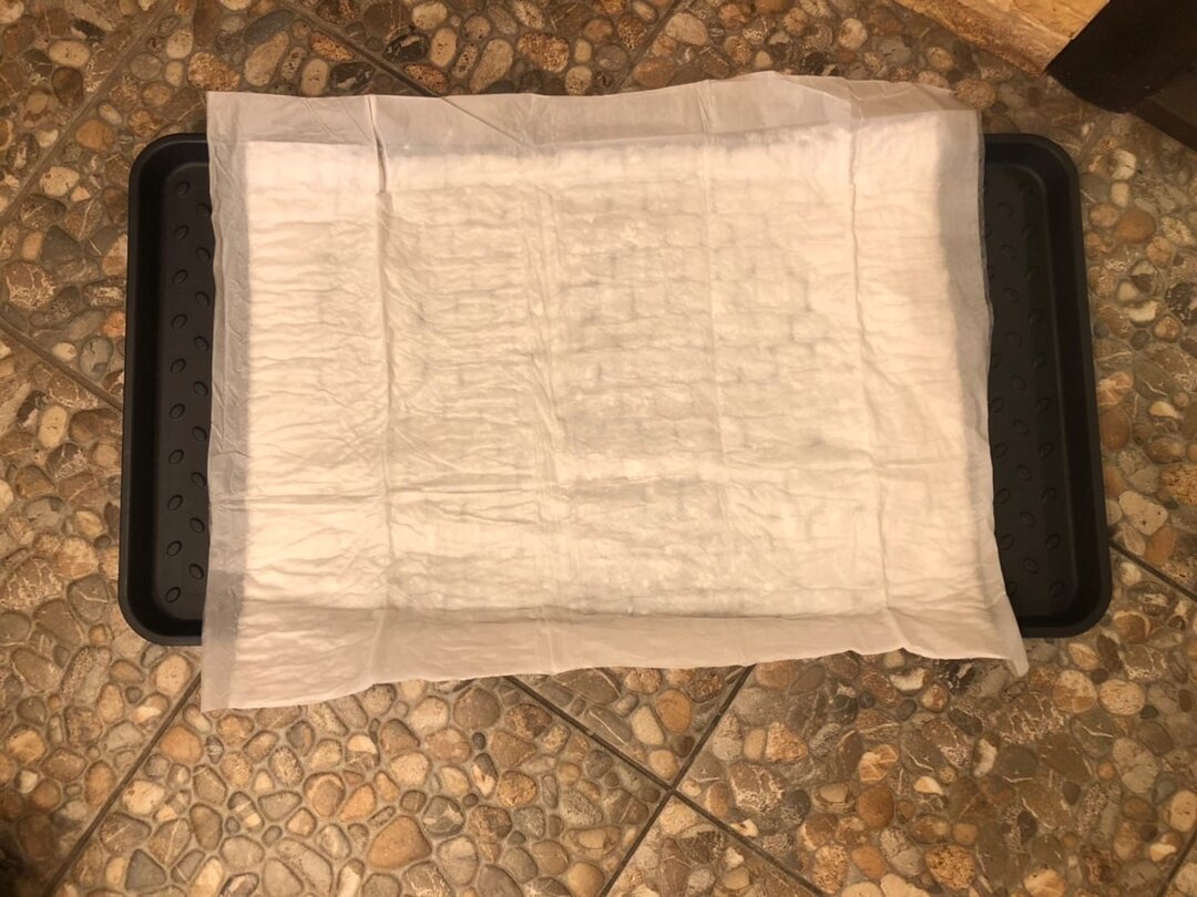 Резиновый лоток с пеленкой.