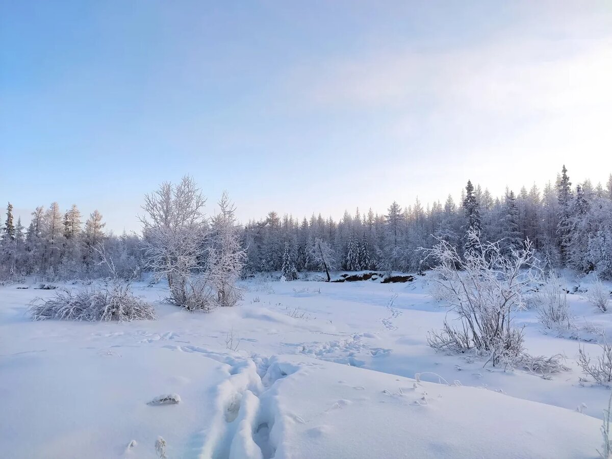 Зима на севере. Фото из личного архива