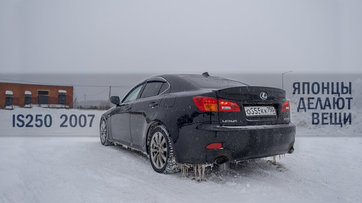 Вид сзади вряд ли кого-нибудь оставит равнодушным.