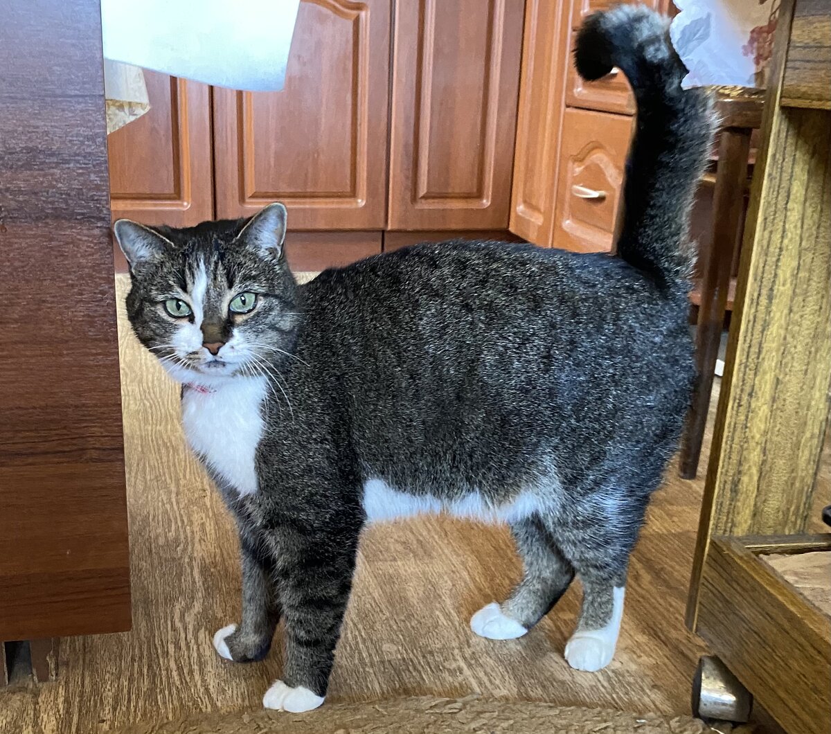 Этот взгляд никого не оставит равнодушным