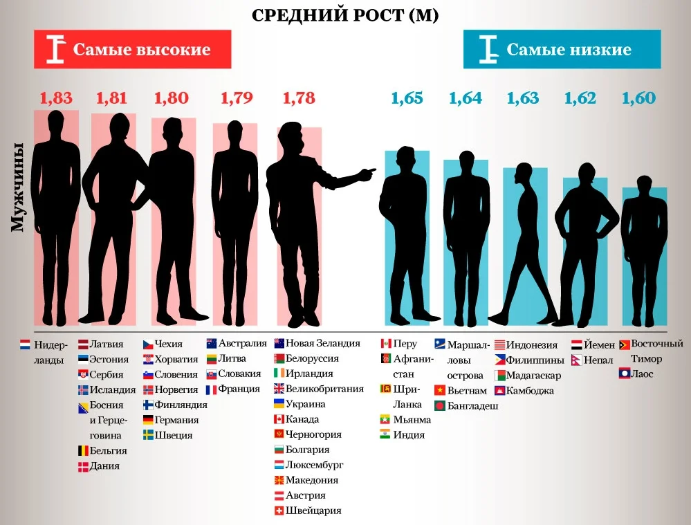 Рашн рост. Средний рост мужчины в Европе. Средний рост мужчины.