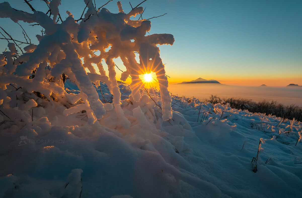 Замерзшая вода. Вода со льдом. Белый коралл окинавы. Снежные кораллы. Белый коралл санго.