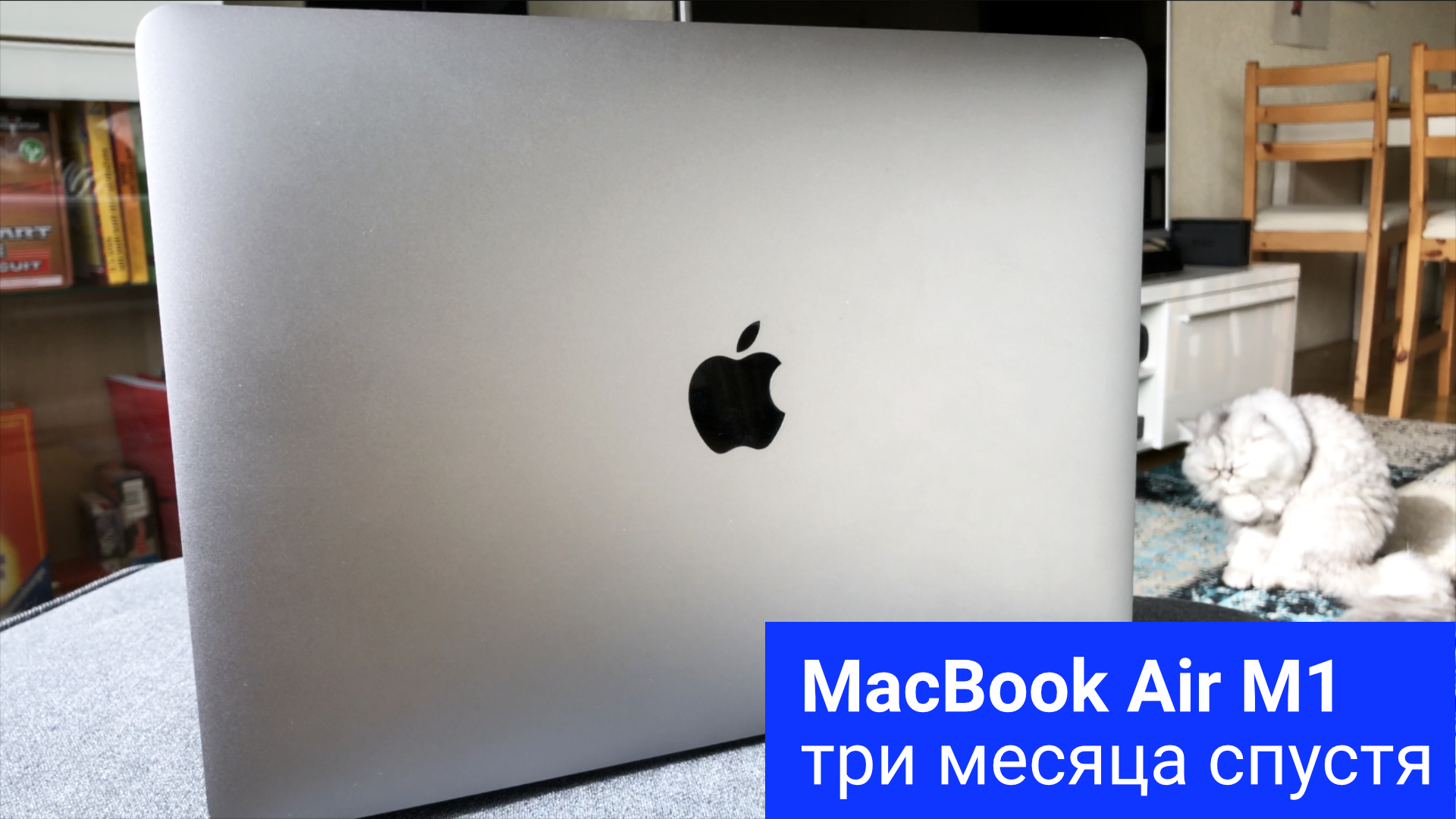 Опыт эксплуатации MacBook Air M1 - три месяца в моих программистских руках