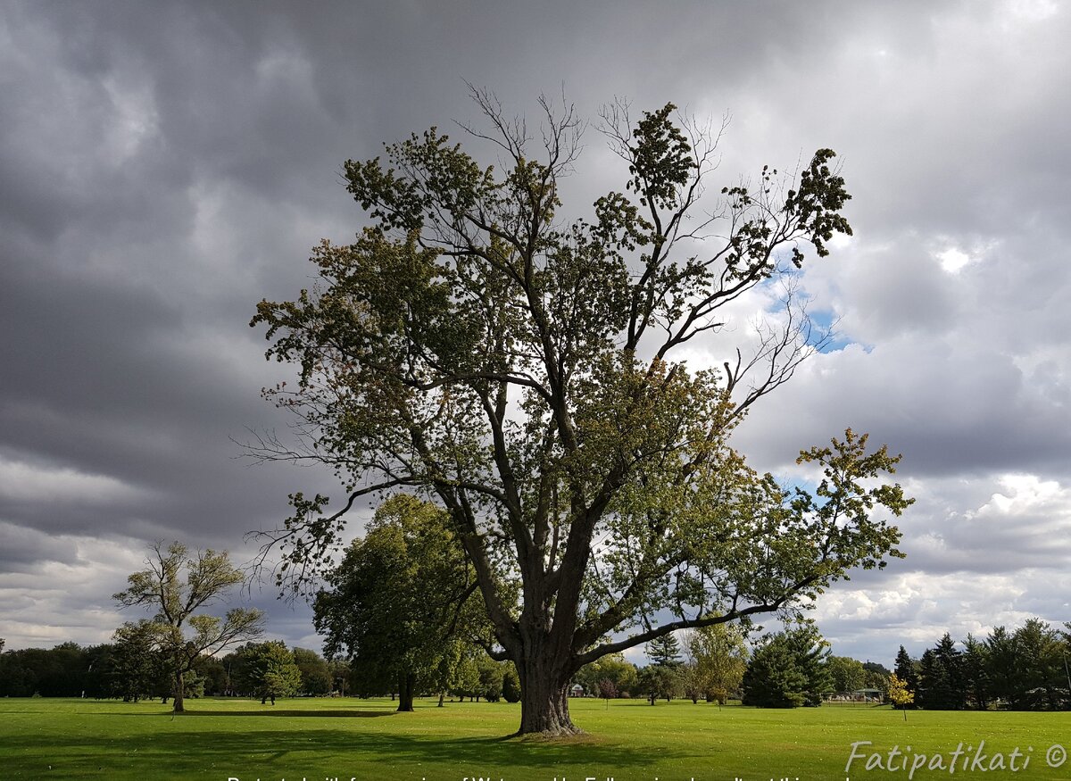 Те ~5 минут, которые вы потратите в моменты эмоциональных молний только на себя, а не направите на попытки решения тех самых ситуаций перед глазами, преобразят ваше собственное ощущение реальности из облачного в умеренно облачный (как минимум).