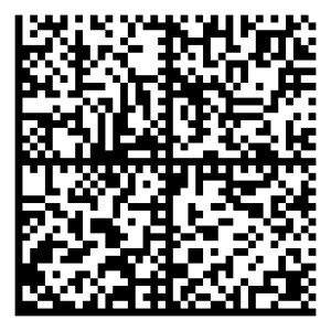 Datamatrix код