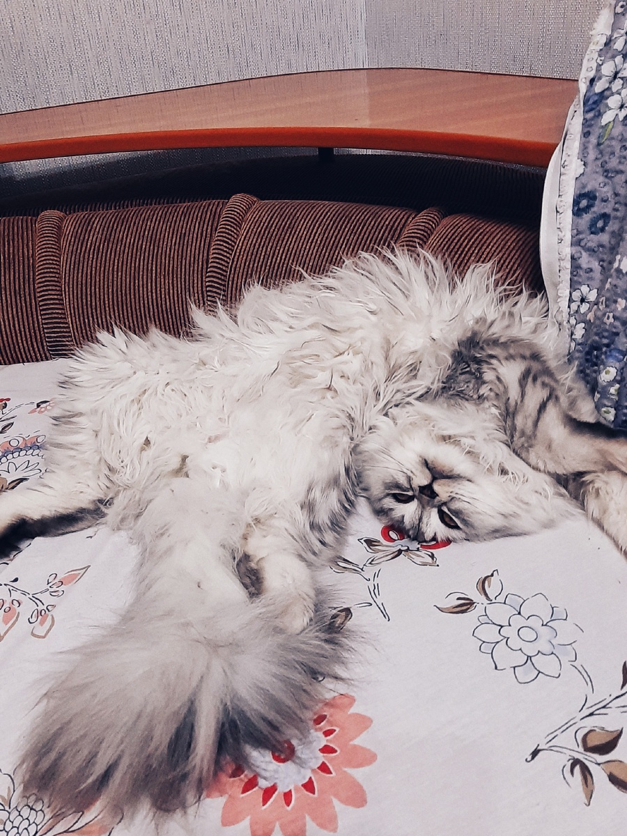 Фото из личного архива