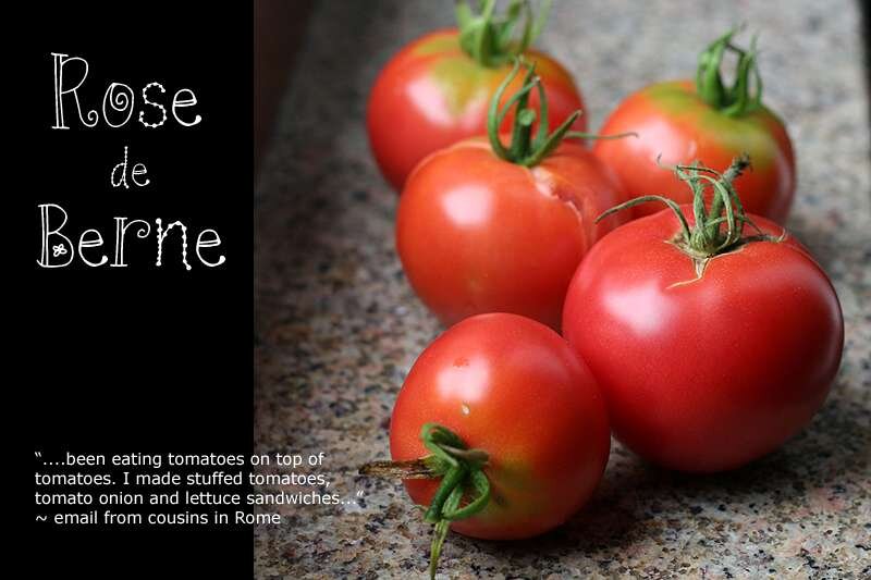 These are tomatoes. Томат Розализа. Томат Роуз Руж. Помидоры Демироза.