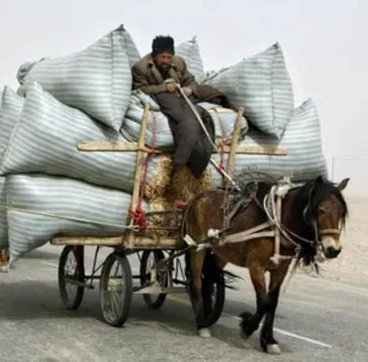 Картинка из сети интернет для иллюстрации