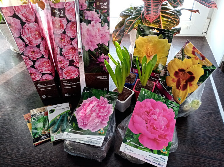 Фото автора. Моя прелесть😍😍😍