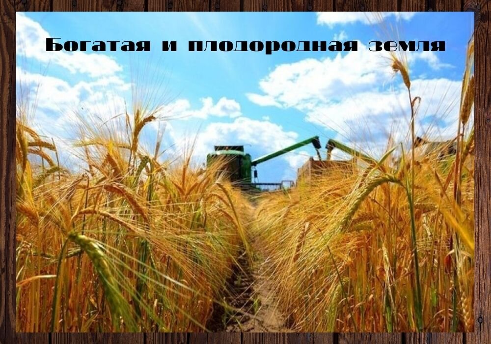 Ход хозяйства. Сельское хозяйство Воронежской области. Сельскохозяйственные культуры Воронежской области. Воронежская область зерноводство. Агропромышленный комплекс Центрально Черноземного района.