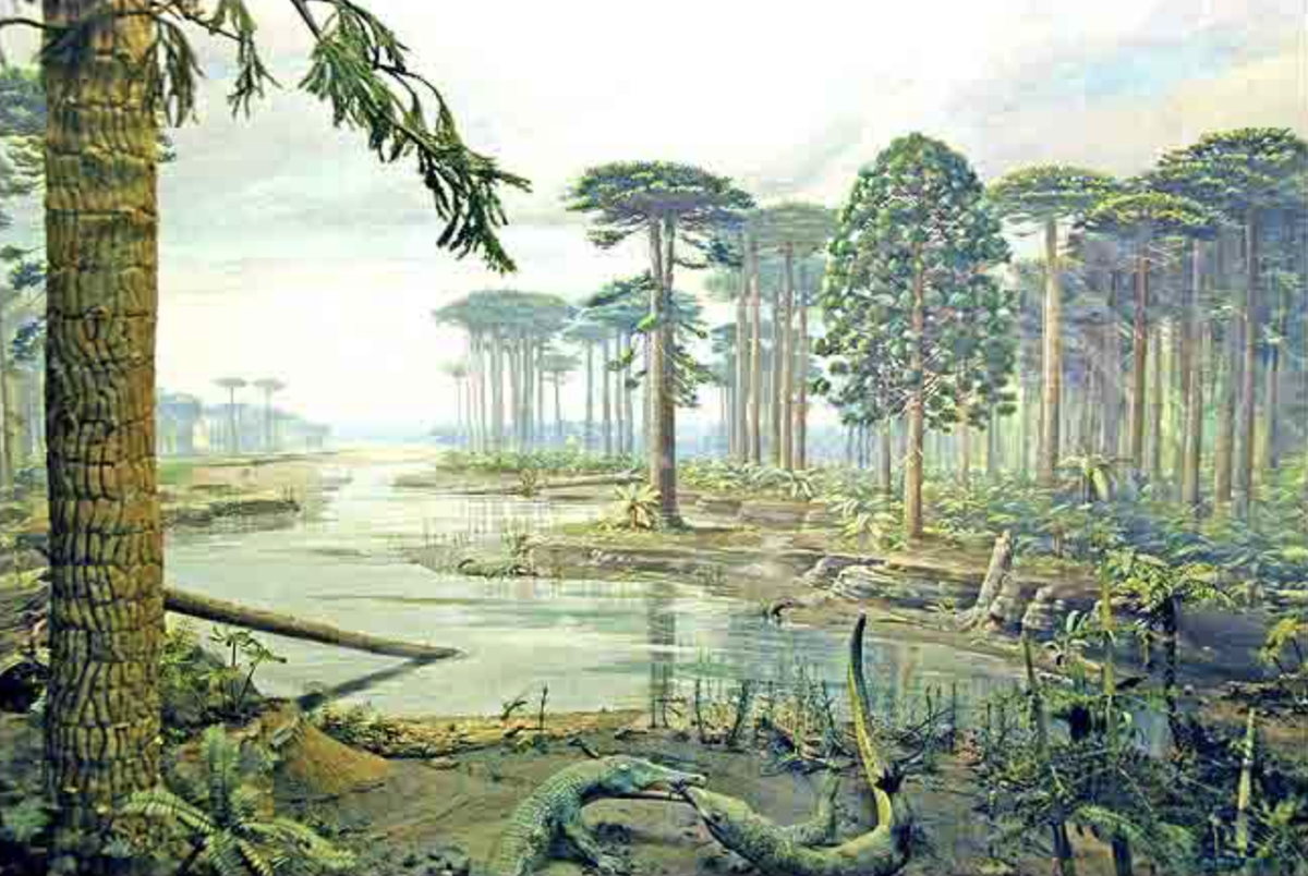 36 млн лет назад