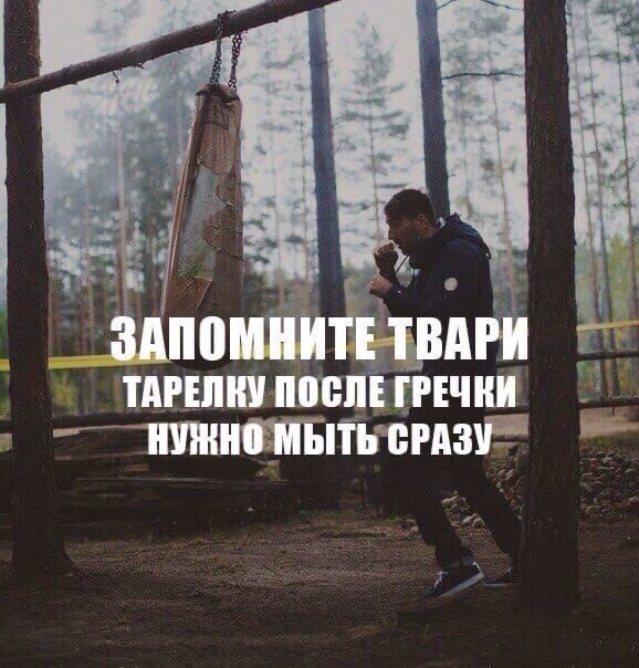 быстрее тварь. мемы про римуса люпина. быстрее тварь. вези меня тварь. паскуда тварь мем.