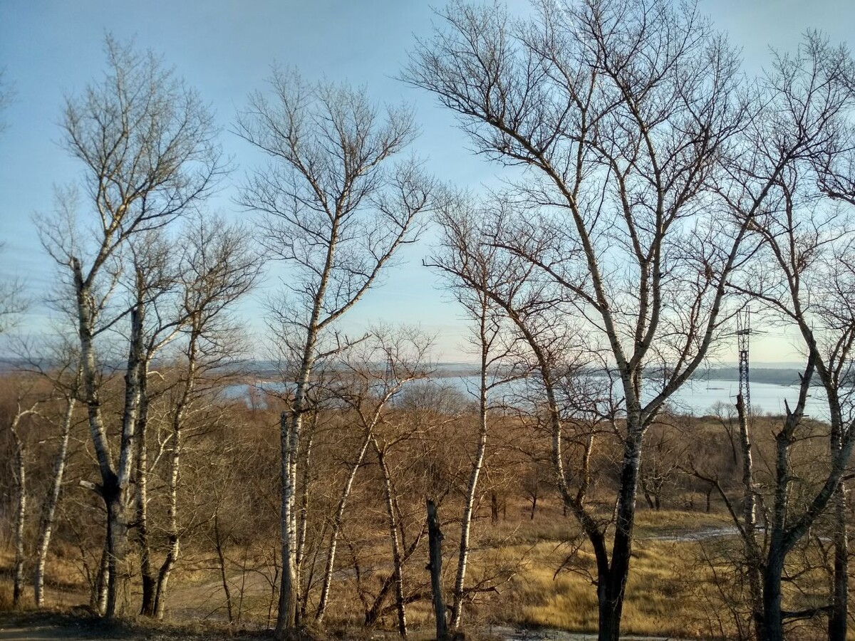 Граница Тульской и Московской областей