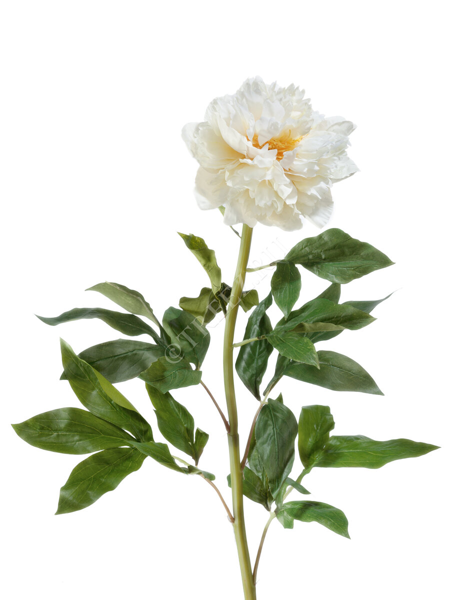 Искусственные пионы Treez Collection