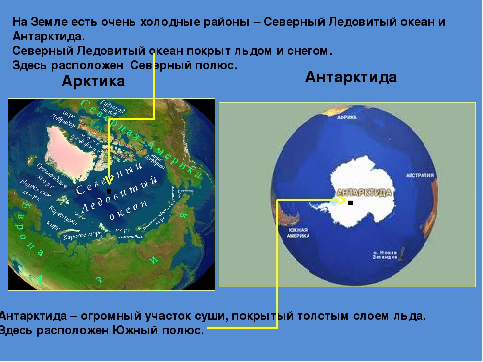 Где находится северный и южный полюс земли