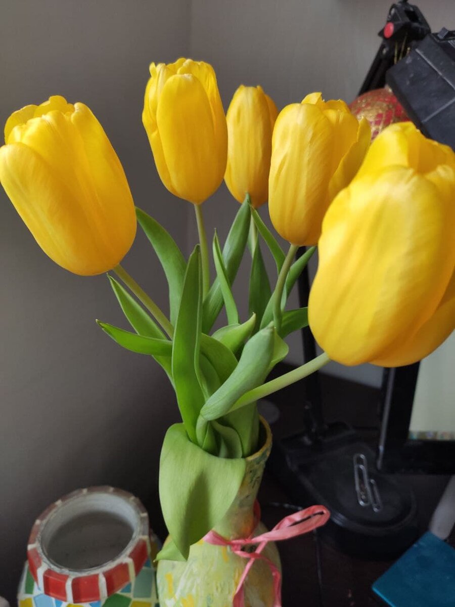 любимые тюльпаны, листайте!