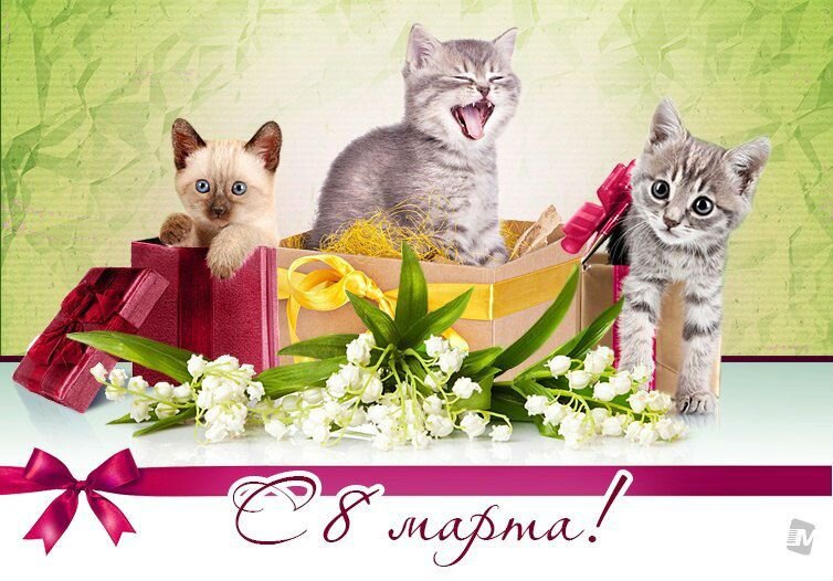 Картинка с влюбленными котами на 8 марта