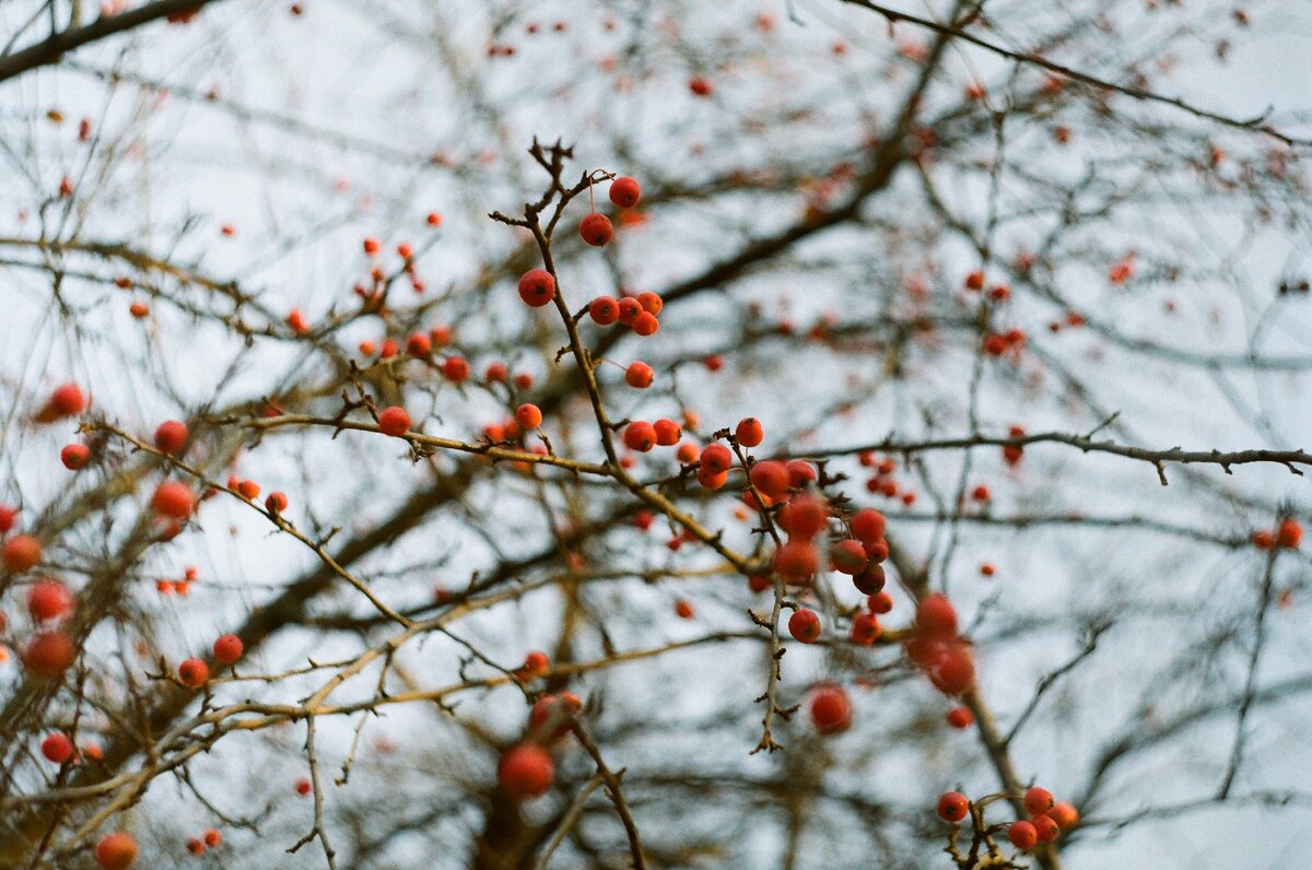 …природу...