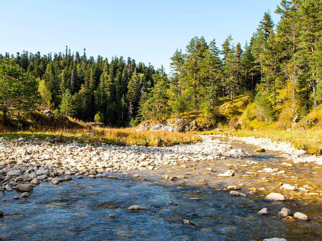 Река Курджипс (lagonaki.ru)