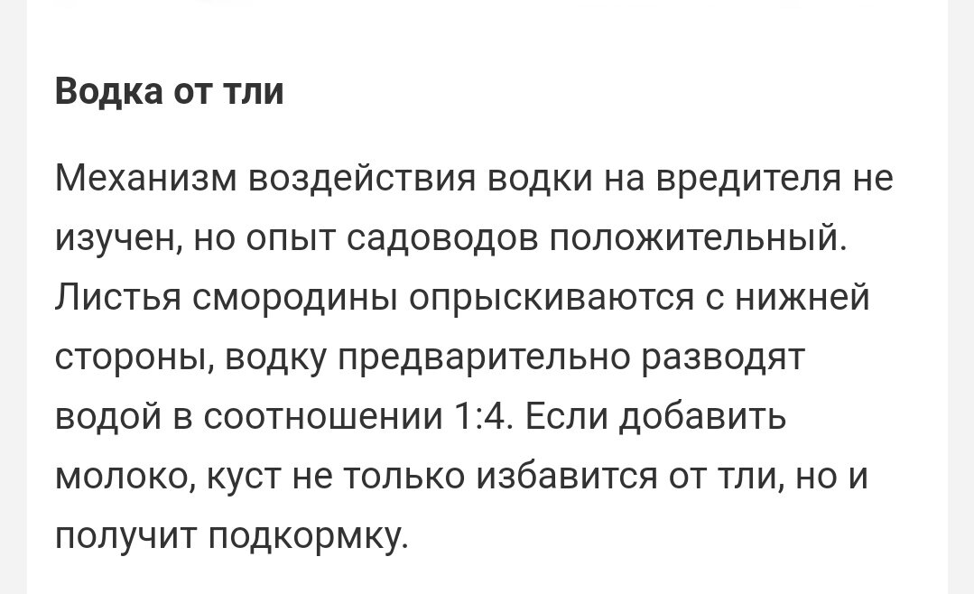 Теперь с молоком. А если солёных огурцов добавить. то тля умрёт от поноса...