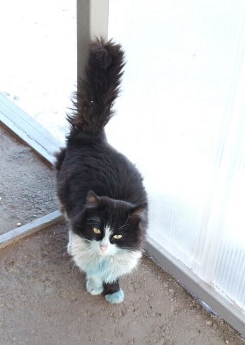 Фото, как и стихотворение, тоже авторское))) 