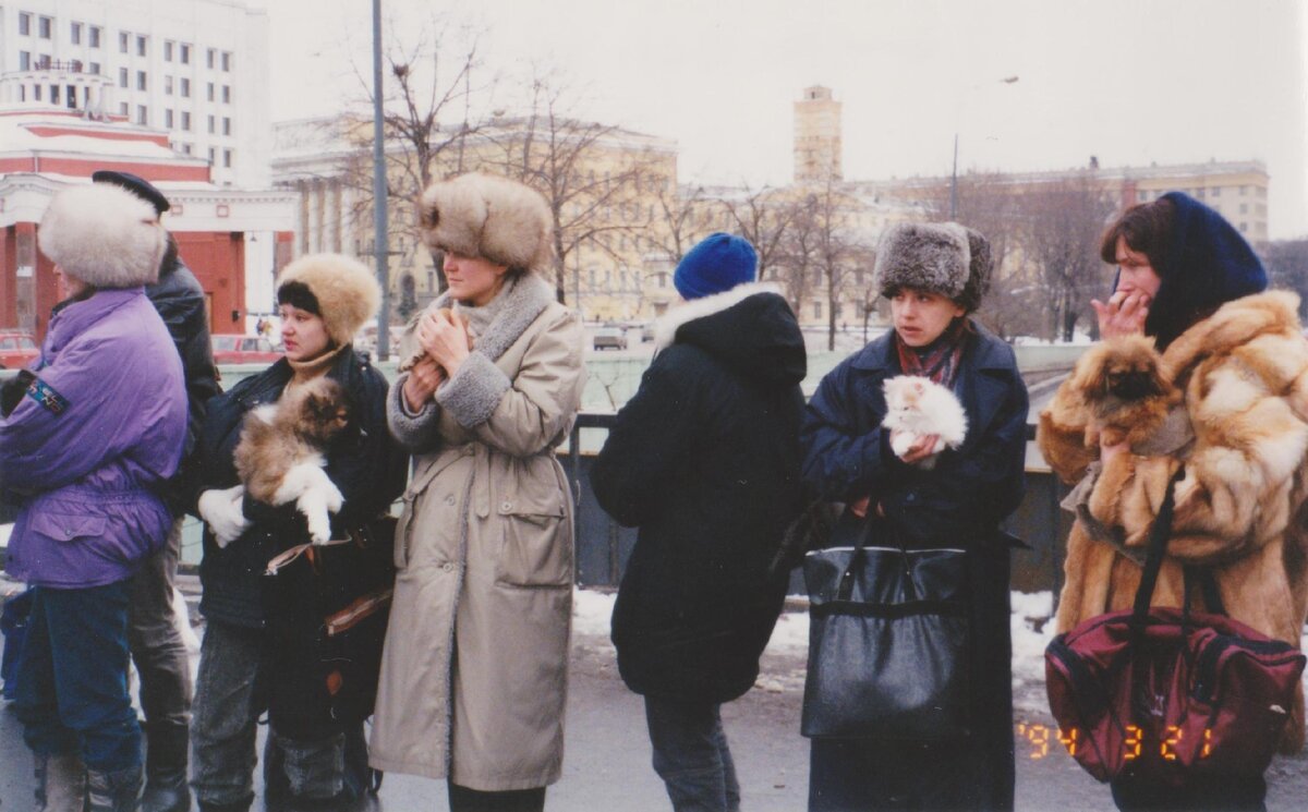 Фото из той же серии, птичий рынок в Москве