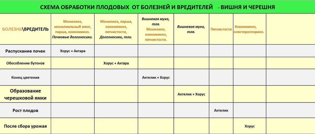 Схема обработки вишни от болезней и вредителей