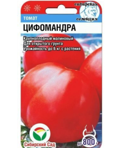 Эта Цифомандра совсем не цифомандра, 