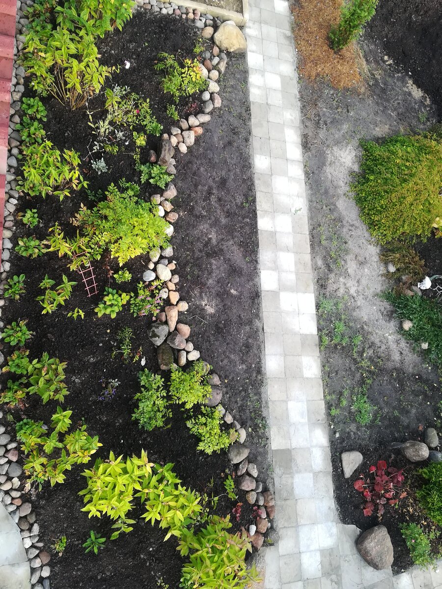 Вид сверху. 