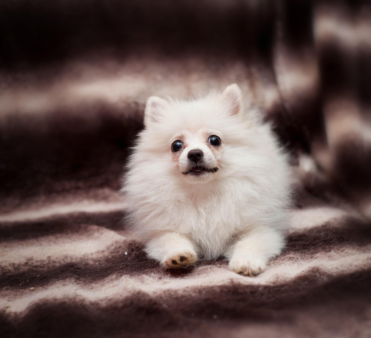 Наша Мишутка