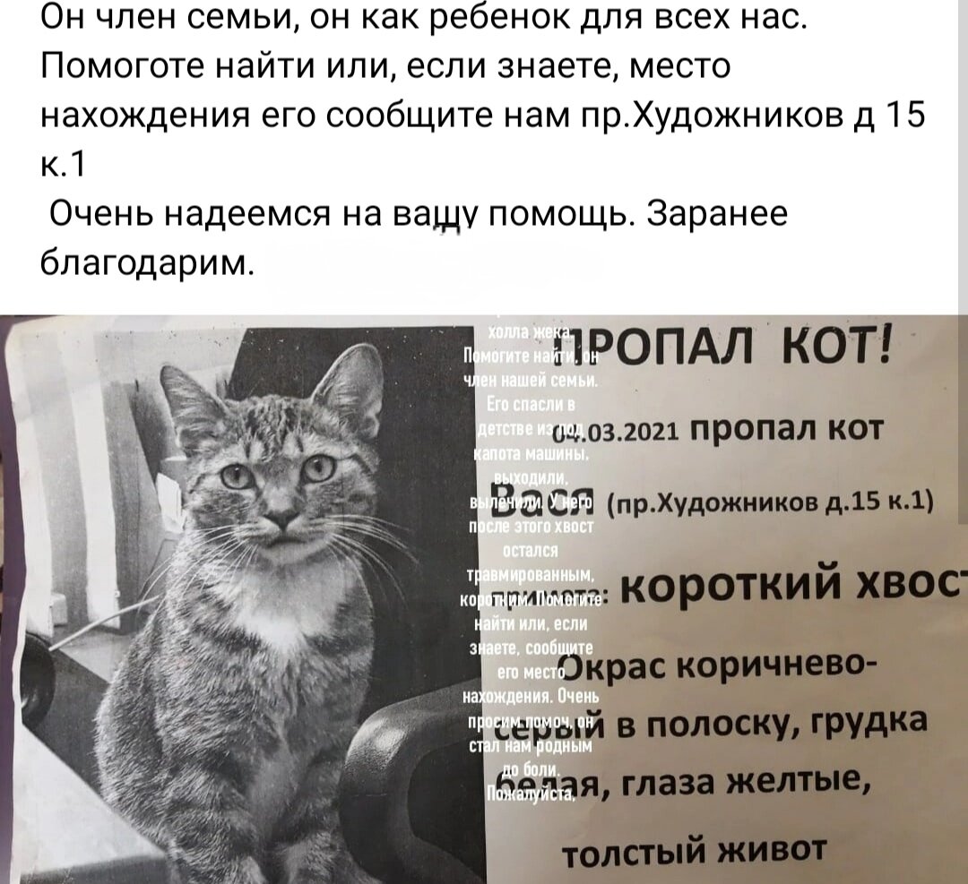 Объявление о поисках Васи. 