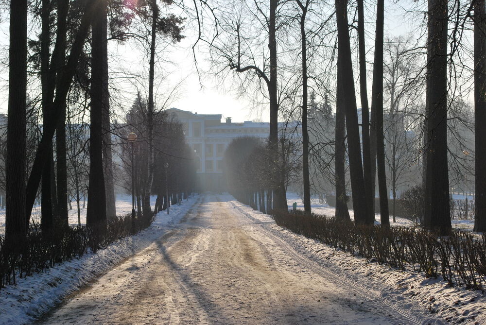 10 лет назад