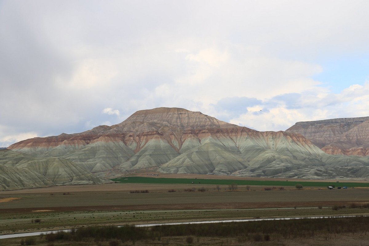 https://dynamic-media-cdn.tripadvisor.com/media/photo-o/0e/f5/bf/55/nallihan-kus-cenneti.jpg?w=1200&h=-1&s=1