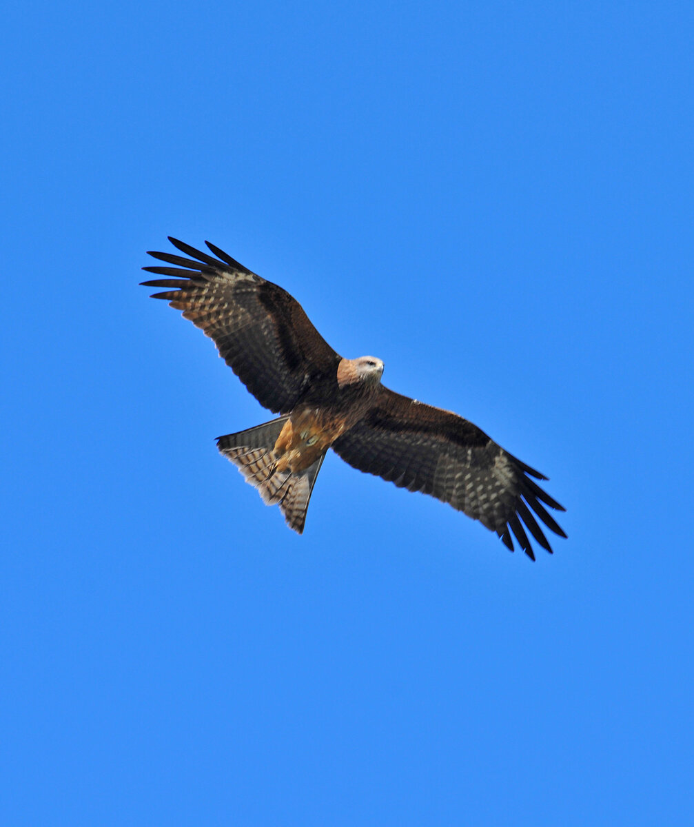 Фото Ольга Шадрина