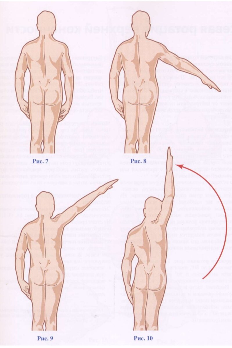 Фронтальная плоскость.