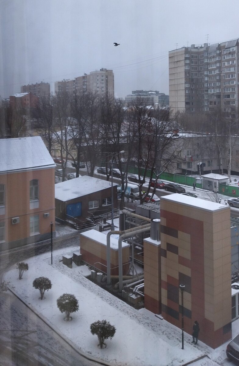 Вид из окна нашей палаты. Вид всё тот же, окно то же, палата та же. И мы прежние. Фото моё, свежее. 