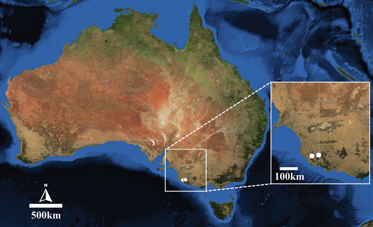 Изображение предоставлено Йозефом Шубертом