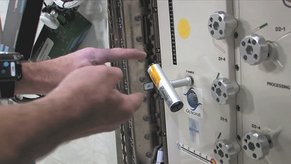 Демонстрация "Эффекта Джанибекова".