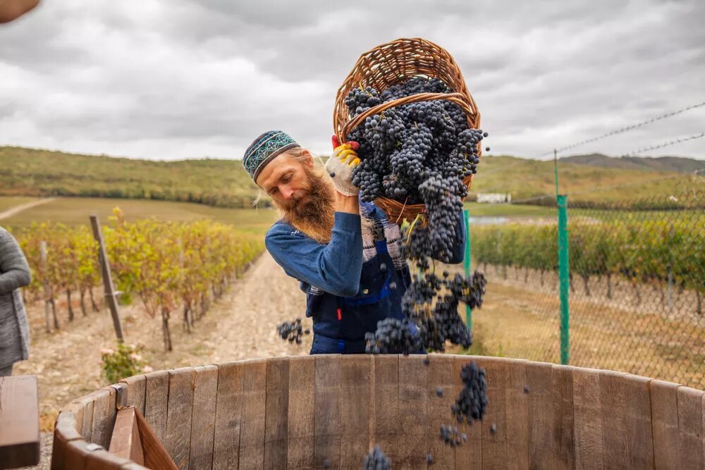 Фото: ZemfiraS/shutterstock