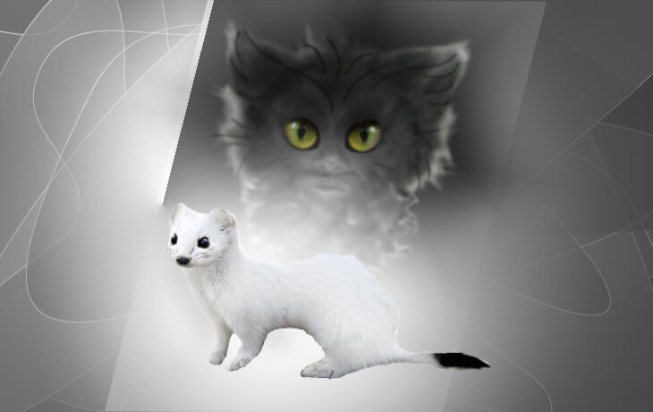 Байки старого Дворового “Мозгоклюйка”