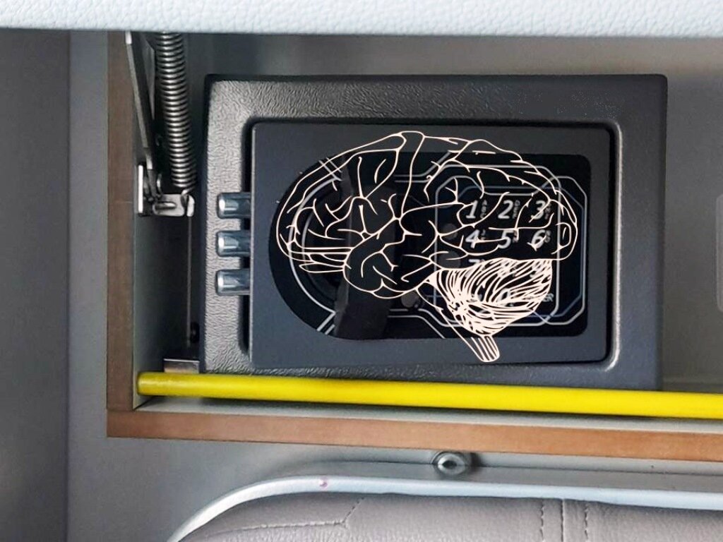 Мозг во многом похож на сейф