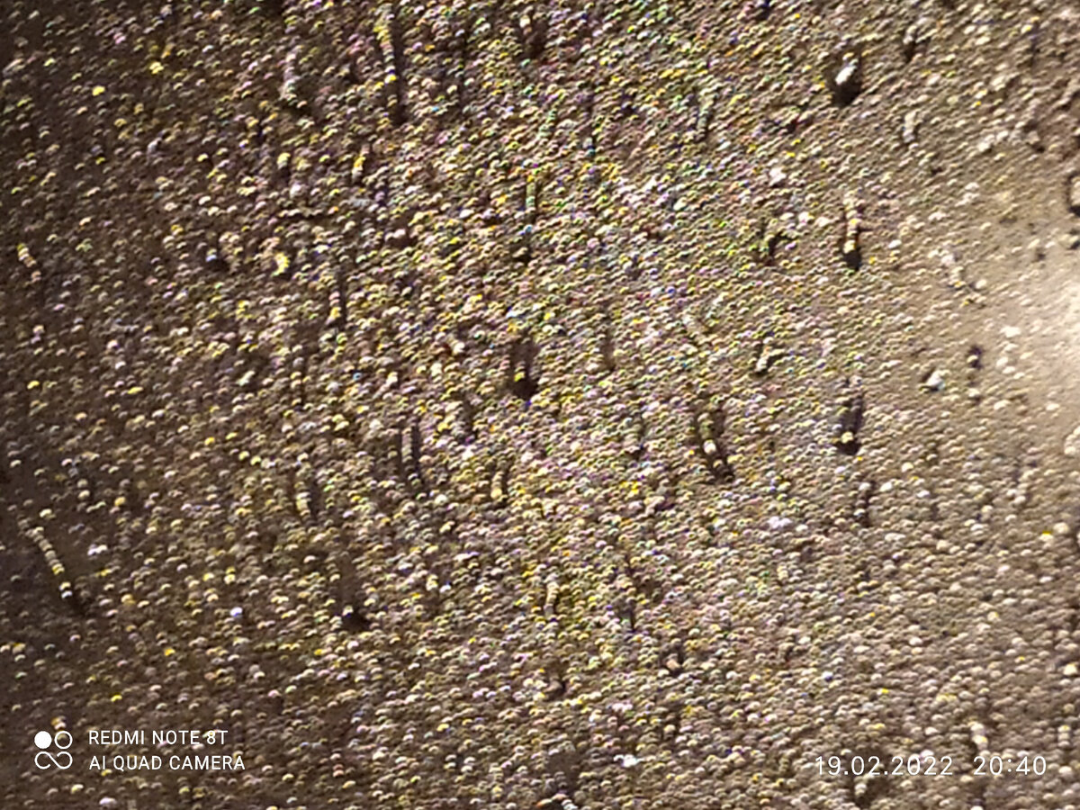 Капли на стекле. Фото автора.