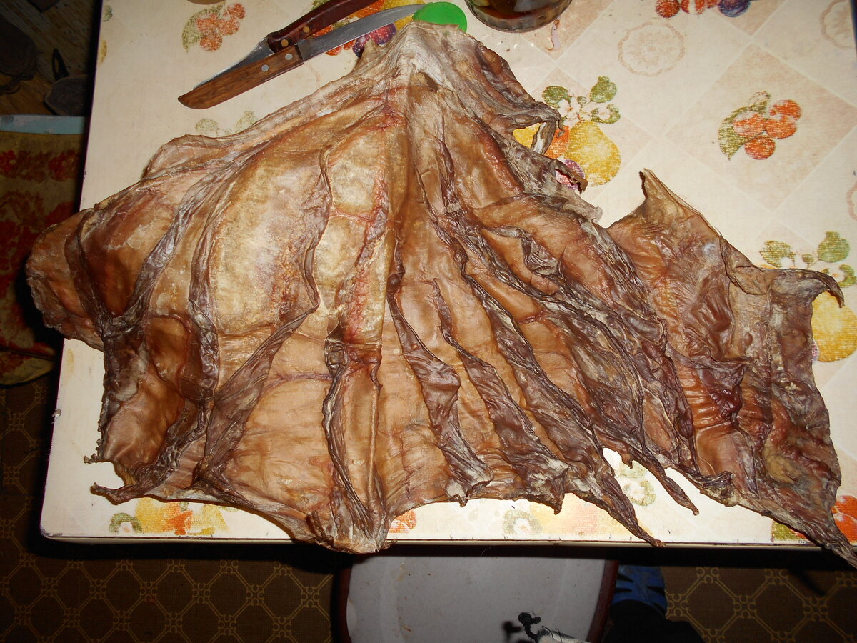 А это говяжий сычуг, точнее бычий. Кстати он у меня и сейчас еще есть ))