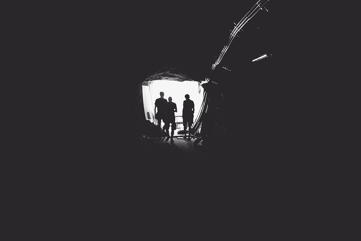 "Весенняя жатва", Екатерина Широкова. Фото Martin Unsplash