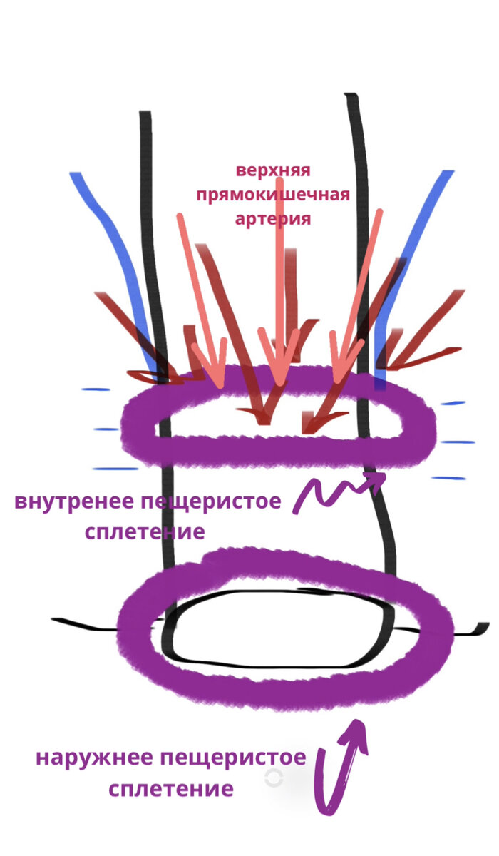 Доброкачественные опухоли влагалища: причины, симптомы и лечение в Москве